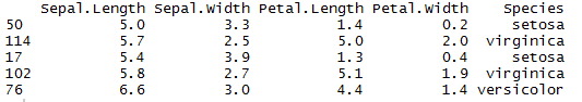 Simple random sampling in R 2