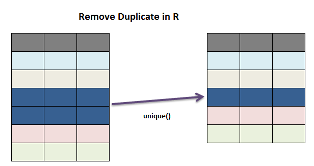 unique function in R 0